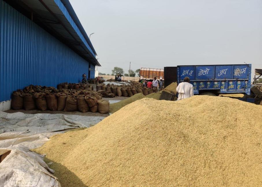 Fortune Rice Mandi Yard with farmers and paddy procurement